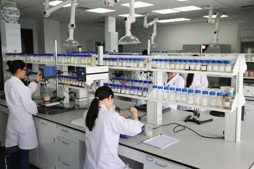 康婷慧科技 以通信技術研發(fā)為引擎，鍛造高質量產(chǎn)品新篇章