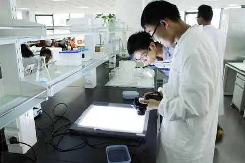 無錫通信技術開發(fā) 鑄就未來產(chǎn)業(yè)支柱，三分天下有其一