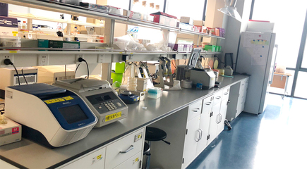 生物技術(shù)研發(fā) 驅(qū)動(dòng)生命科學(xué)創(chuàng)新的核心引擎