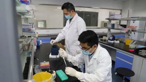 科技抗疫新突破 滬企融合通信技術(shù)，核酸檢測時(shí)間大幅縮短至1小時(shí)